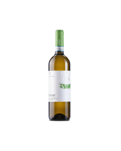 White wines  FA' BENE Trebbiano D'Abruzzo DOC BIO 2022 - Fattoria Teatina 5,78 € White wines  FA' BENE Trebbiano D'Abruzzo DOC BIO 2022 - Fattoria Teatina 5,78 €