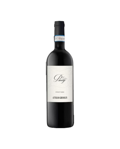Red Wines  Pinay Langhe Pinot Nero 2016 - Attilio Ghisolfi 15,00 € Red Wines  Pinay Langhe Pinot Nero 2016 - Attilio Ghisolfi 15,00 €