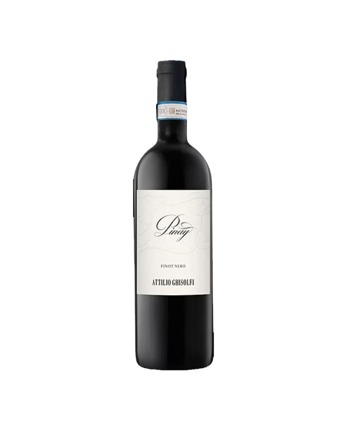 Vini Rossi  Pinay Langhe Pinot Nero 2016 - Attilio Ghisolfi 15,00 â‚¬ Vini Rossi  Pinay Langhe Pinot Nero 2016 - Attilio Ghisolfi 15,00 â‚¬