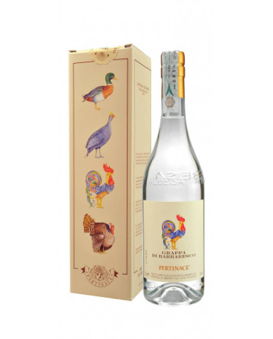 Distillates  Grappa di Barbaresco Bianca Nebbiolo - Pertinace 19,19 € Distillates  Grappa di Barbaresco Bianca Nebbiolo - Pertinace 19,19 €
