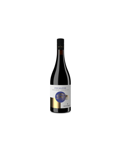 Red Wines  FOCALONE Cabernet Sauvignon Terre di Chieti I.G.T. 2024 - Tenuta Ferrante 10,81 €