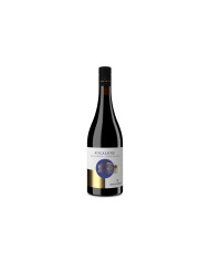 Vini Rossi  FOCALONE Cabernet Sauvignon Terre di Chieti I.G.T. 2024 - Tenuta Ferrante 10,81 €