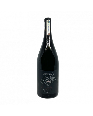 Red Wines  Diamante nero Pinot nero IGP Terre dell'Aquila 2020 Magnum - Castelsimoni 55,86 € Red Wines  Diamante nero Pinot nero IGP Terre dell'Aquila 2020 Magnum - Castelsimoni 55,86 €