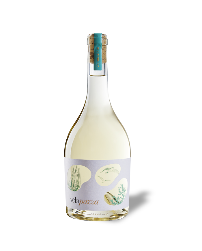 Witte Wijnen  Velapazza Passerina Terre di Chieti IGP 2023 - Cantina Tollo 6,37 €