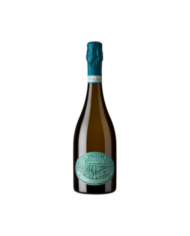 Vini Bianchi  Metodo Classico Dosaggio Zero 2021 Trebbiano Spoletino Bio - Antonelli San Marco 22,40 € Vini Bianchi  Metodo Classico Dosaggio Zero 2021 Trebbiano Spoletino Bio - Antonelli San Marco 22,40 €