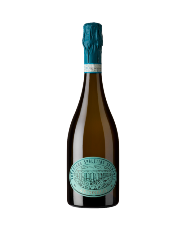 Witte Wijnen  Metodo Classico Dosaggio Zero 2021 Trebbiano Spoletino Bio - Antonelli San Marco 22,40 â‚¬ Witte Wijnen  Metodo Classico Dosaggio Zero 2021 Trebbiano Spoletino Bio - Antonelli San Marco 22,40 â‚¬