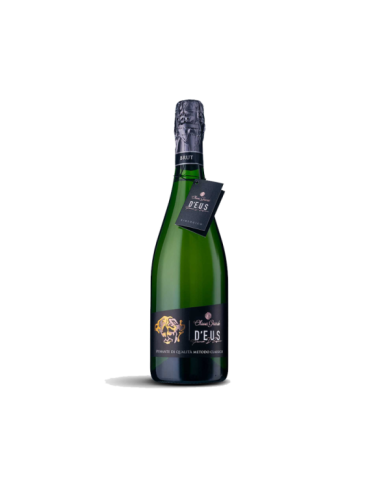 White wines  D’Eus Brut Bianco Vino Spumante si Qualità brut Metodo Classico Biologico- Chiusa Grande 20,54 € White wines  D’Eus Brut Bianco Vino Spumante si Qualità brut Metodo Classico Biologico- Chiusa Grande 20,54 €