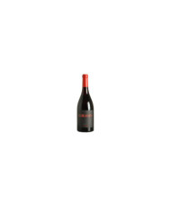 Rode wijnen  Cinabro Marche Rosso IGP 2019 - Le Caniette 71,50 â‚¬ Rode wijnen  Cinabro Marche Rosso IGP 2019 - Le Caniette 71,50 â‚¬