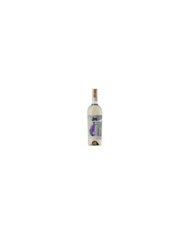 White wines  Petra Casella Bianco 2023 - Fattoria Italiana Martelli 14,82 € White wines  Petra Casella Bianco 2023 - Fattoria Italiana Martelli 14,82 €