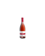 Rosé Wines  Rosato San Lorenzo 2024 - San Lorenzo 9,07 €