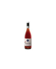 Rosé Wines  Casabianca Cerasuolo Doc 2024 - San Lorenzo 7,44 €