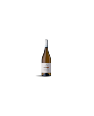 Witte Wijnen  VINOSOPHIA Abruzzo Cococciola DOC 2023 Biologico - Chiusa Grande 10,49 â‚¬ Witte Wijnen  VINOSOPHIA Abruzzo Cococciola DOC 2023 Biologico - Chiusa Grande 10,49 â‚¬