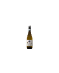 Vini Bianchi  Casabianca Trebbiano D'Abruzzo DOC 2024 - San Lorenzo 7,18 €