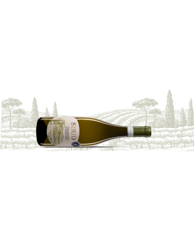 Witte Wijnen  Sirio Trebbiano d'Abruzzo DOC 2024 - San Lorenzo 4,86 € Witte Wijnen  Sirio Trebbiano d'Abruzzo DOC 2024 - San Lorenzo 4,86 €