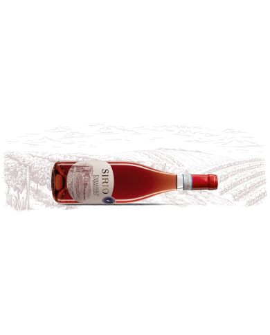 Vini Rosè  Sirio Cerasuolo d'Abruzzo DOC 2024 - San Lorenzo 5,08 € Vini Rosè  Sirio Cerasuolo d'Abruzzo DOC 2024 - San Lorenzo 5,08 €