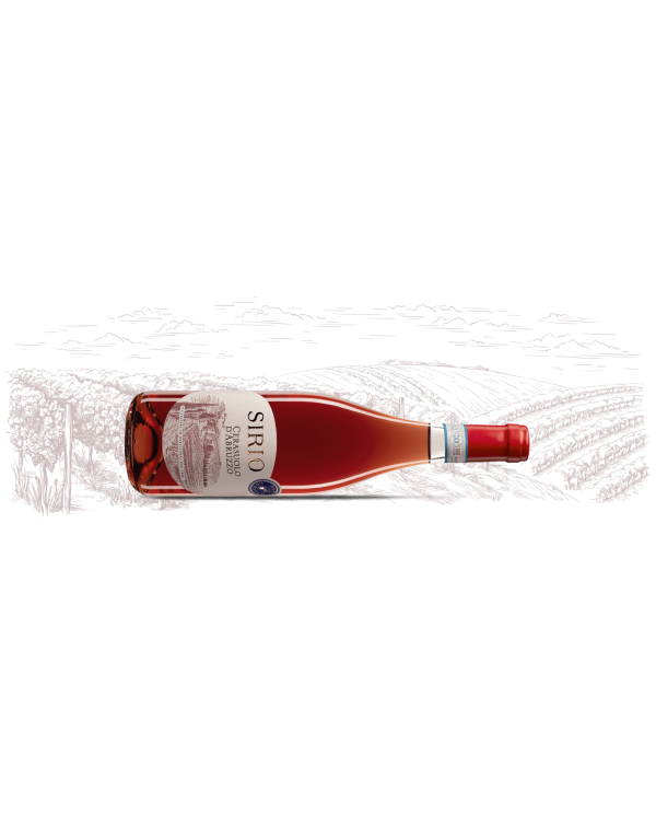 Vini Rosè  Sirio Cerasuolo d'Abruzzo DOC 2024 - San Lorenzo 5,08 â‚¬ Vini Rosè  Sirio Cerasuolo d'Abruzzo DOC 2024 - San Lorenzo 5,08 â‚¬