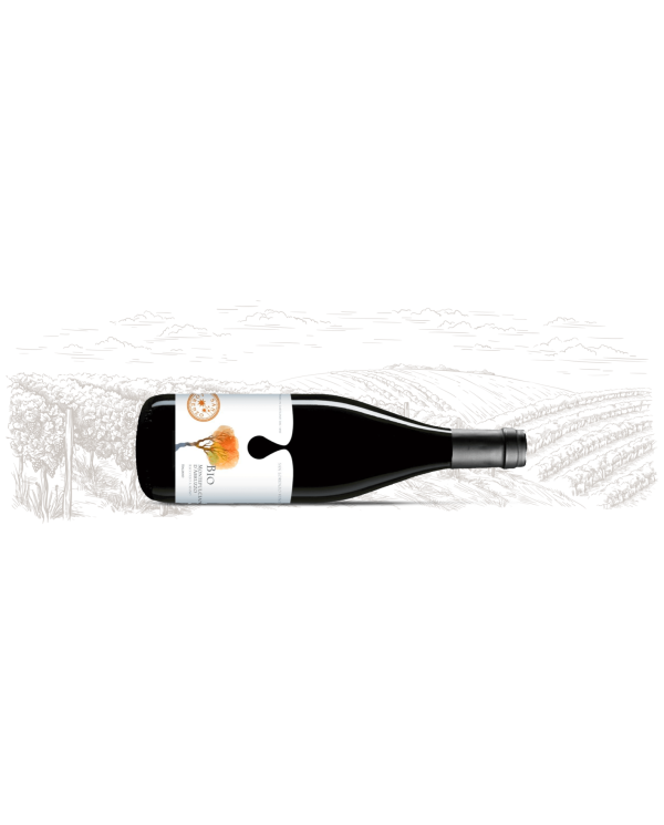Vini Rossi  Montepulciano d'Abruzzo Bio - San Lorenzo 6,24 â‚¬ Vini Rossi  Montepulciano d'Abruzzo Bio - San Lorenzo 6,24 â‚¬
