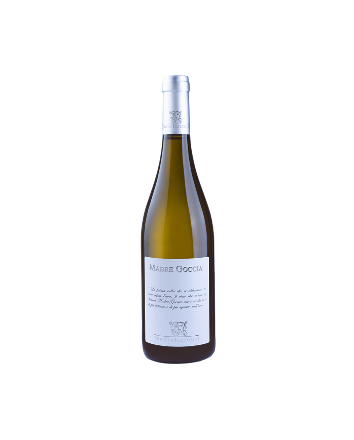 White wines  Madre Goccia Vino Bianco I.G.T 2024 – Tenuta Iuzzolini 8,52 € White wines  Madre Goccia Vino Bianco I.G.T 2024 – Tenuta Iuzzolini 8,52 €