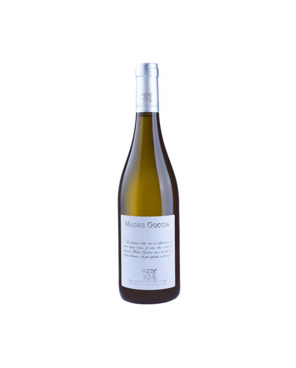 White wines  Madre Goccia Vino Bianco I.G.T 2024 – Tenuta Iuzzolini 8,52 â‚¬ White wines  Madre Goccia Vino Bianco I.G.T 2024 – Tenuta Iuzzolini 8,52 â‚¬