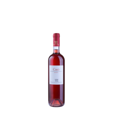 Vini Rosè  Cirò Rosato Doc 2024 - Tenuta Iuzzolini 5,85 € Vini Rosè  Cirò Rosato Doc 2024 - Tenuta Iuzzolini 5,85 €
