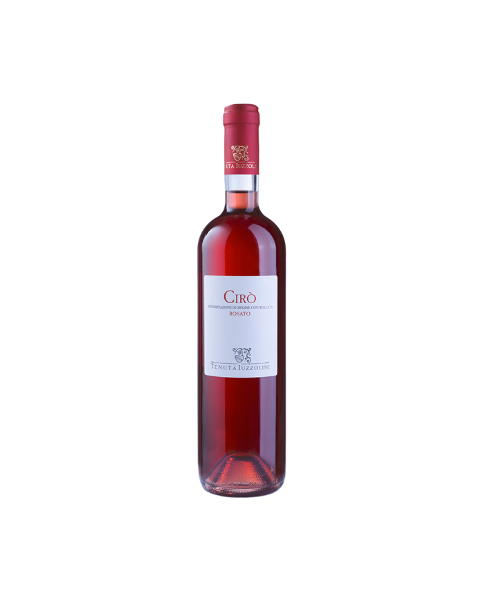 White wines  Donna Giovanna Bianco I.G.T. 2024 – Tenuta Iuzzolini 17,04 € White wines  Donna Giovanna Bianco I.G.T. 2024 – Tenuta Iuzzolini 17,04 €