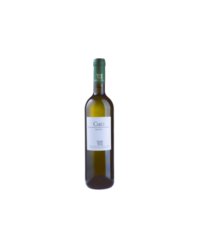 Vini Bianchi  CIRÒ Bianco Doc 2024 - Tenuta Iuzzolini 5,85 € Vini Bianchi  CIRÒ Bianco Doc 2024 - Tenuta Iuzzolini 5,85 €