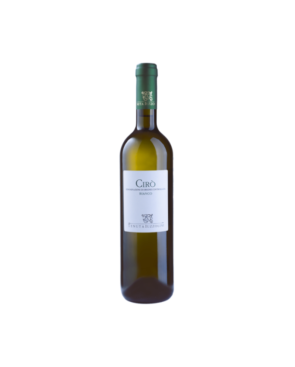 White wines  CIRÃ’ Bianco Doc 2024 - Tenuta Iuzzolini 5,85 â‚¬ White wines  CIRÃ’ Bianco Doc 2024 - Tenuta Iuzzolini 5,85 â‚¬