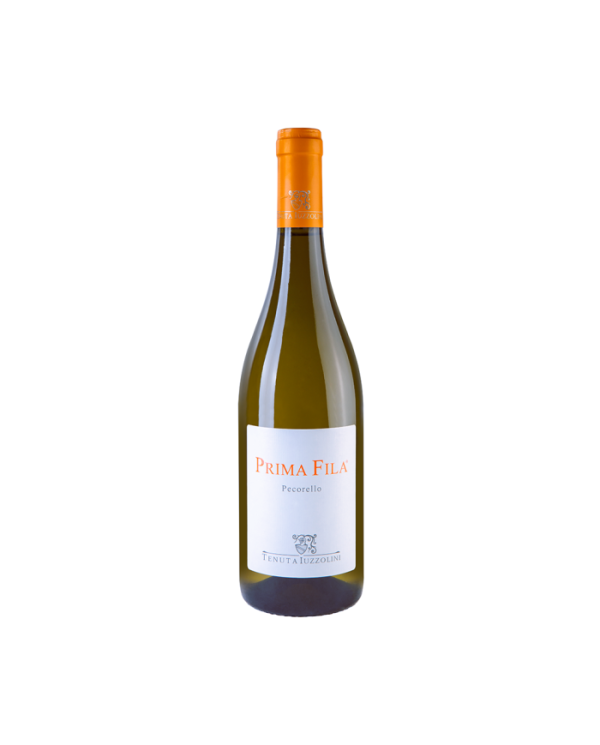 Vini Bianchi  Prima Fila Bianco IGT 2024 - Tenuta Iuzzolini 10,66 â‚¬ Vini Bianchi  Prima Fila Bianco IGT 2024 - Tenuta Iuzzolini 10,66 â‚¬