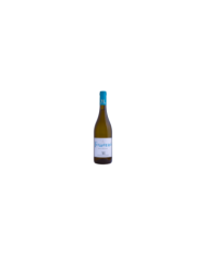 Vini Bianchi  Fermentino Bianco 2024 - Tenuta Iuzzolini 8,52 â‚¬ Vini Bianchi  Fermentino Bianco 2024 - Tenuta Iuzzolini 8,52 â‚¬