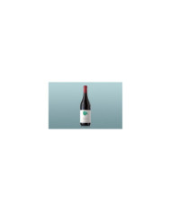Rode wijnen  Castello Barolo DOCG 2020 magnum - Arnaldo Rivera 98,55 â‚¬ Rode wijnen  Castello Barolo DOCG 2020 magnum - Arnaldo Rivera 98,55 â‚¬