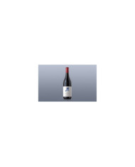 Rode wijnen  Bussia Barolo DOCG 2020 magnum - Arnaldo Rivera 98,55 â‚¬ Rode wijnen  Bussia Barolo DOCG 2020 magnum - Arnaldo Rivera 98,55 â‚¬