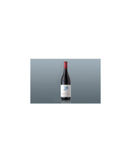 Red Wines  Rocche dell’Annunziata Barolo DOCG 2020 - Arnaldo Rivera 59,40 â‚¬ Red Wines  Rocche dell’Annunziata Barolo DOCG 2020 - Arnaldo Rivera 59,40 â‚¬