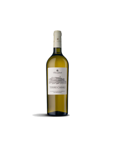 White wines  Terre Casali Pecorino Colline Pescaresi IGT 2023 Biologico - Chiusa Grande 7,95 € White wines  Terre Casali Pecorino Colline Pescaresi IGT 2023 Biologico - Chiusa Grande 7,95 €