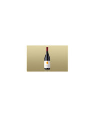 Rode wijnen  Rocche di Castiglione Barolo DOCG 2020 magnum - Arnaldo Rivera 132,30 â‚¬ Rode wijnen  Rocche di Castiglione Barolo DOCG 2020 magnum - Arnaldo Rivera 132,30 â‚¬