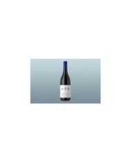 Rode wijnen  Sorì del Cascinotto Diano D’alba DOCG 2022 - Arnaldo Rivera 9,18 € Rode wijnen  Sorì del Cascinotto Diano D’alba DOCG 2022 - Arnaldo Rivera 9,18 €