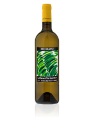 Vini Bianchi  CasaMatta Bianco Toscana IGT 2023 - Bibi Graetz 19,24 € Vini Bianchi  CasaMatta Bianco Toscana IGT 2023 - Bibi Graetz 19,24 €