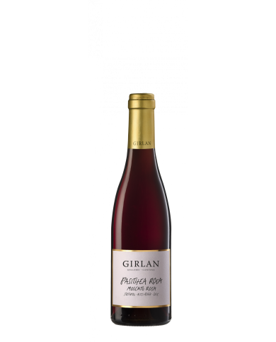 Vini Dolci  PASITHEA ROSA Moscato Rosa Alto Adige DOC 2022 - Girlan 27,70 € Vini Dolci  PASITHEA ROSA Moscato Rosa Alto Adige DOC 2022 - Girlan 27,70 €