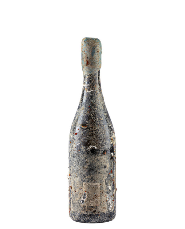 Witte Wijnen  Underwater Wine 2023 - Martarosa 90,57 â‚¬ Witte Wijnen  Underwater Wine 2023 - Martarosa 90,57 â‚¬