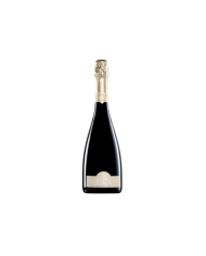 Sparkling Wines  Mucci Spumante Extra Dry - Cantine Mucci 14,81 €