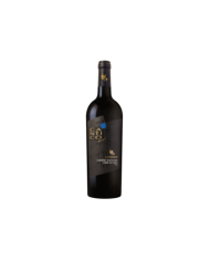 Rode wijnen  Cantico Cabernet Sauvignon Terre di Chieti IGT 2021 - Cantine Mucci 17,90 €
