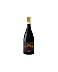 Vini Rossi  Santo Stefano Montepulciano d’Abruzzo DOC 2022 - Cantine Mucci 15,45 €