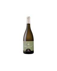 Vini Bianchi  Santo Stefano Pecorino Terre di Chieti IGT 2023 - Cantine Mucci 14,92 â‚¬ Vini Bianchi  Santo Stefano Pecorino Terre di Chieti IGT 2023 - Cantine Mucci 14,92 â‚¬