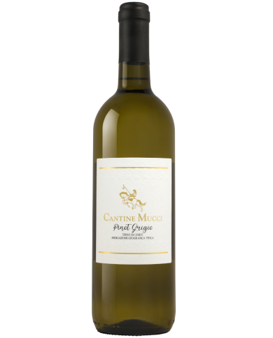 White wines  Valentino Pinot Grigio Terre di Chieti IGT 2023 - Cantine Mucci 9,80 € White wines  Valentino Pinot Grigio Terre di Chieti IGT 2023 - Cantine Mucci 9,80 €