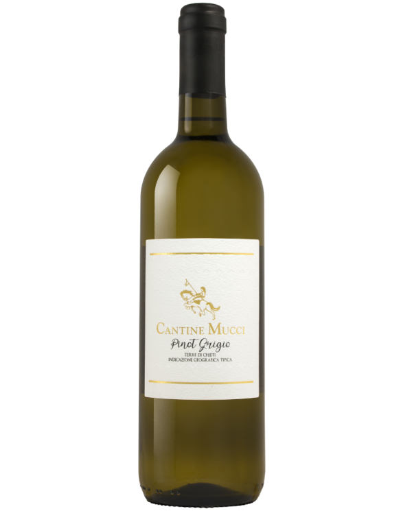 Witte Wijnen  Valentino Pinot Grigio Terre di Chieti IGT 2023 - Cantine Mucci 9,80 â‚¬ Witte Wijnen  Valentino Pinot Grigio Terre di Chieti IGT 2023 - Cantine Mucci 9,80 â‚¬