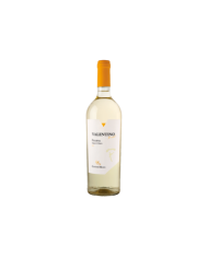 Vini Bianchi  Valentino Pecorino Terre di Chieti IGT 2023 - Cantine Mucci 9,80 â‚¬ Vini Bianchi  Valentino Pecorino Terre di Chieti IGT 2023 - Cantine Mucci 9,80 â‚¬