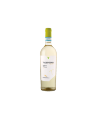 Vini Bianchi  Valentino Trebbiano d’Abruzzo DOC -2023 - Cantine Mucci 9,80 â‚¬ Vini Bianchi  Valentino Trebbiano d’Abruzzo DOC -2023 - Cantine Mucci 9,80 â‚¬