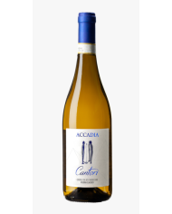 Vini Bianchi  Cantorì Castelli Di Jesi Verdicchio Riserva Docg Classico 2020 - Accadia 27,66 â‚¬ Vini Bianchi  Cantorì Castelli Di Jesi Verdicchio Riserva Docg Classico 2020 - Accadia 27,66 â‚¬