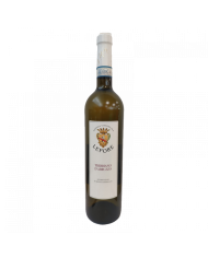 Vini Bianchi  Pecorino Colli Aprutini IGT 2023 - Cantina Lepore 6,91 €