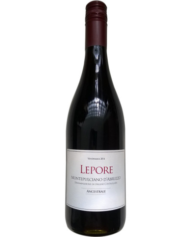 Red Wines  Ancestrale Senza Solfiti Lepore Montepulciano d'Abruzzo DOC 2014 - Cantina Lepore 9,95 €