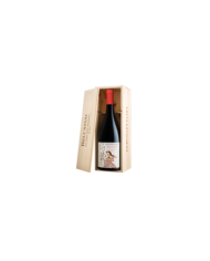 Vini Rossi  Vittoria Frappato DOC Bell'Assai 2019 Magnum - Donnafugata 40,90 €